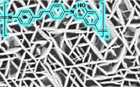 Nanowall structure in a polyazomethine π-conjugated polymer nano thin film