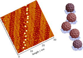 Nano-level visualizations of higher fullerenes and platinum porphyrin supermolecule structures