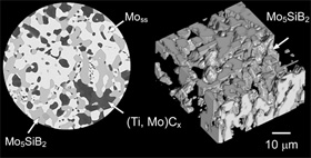 2D scanning electron microscope image and 3D image from the same perspective of the Mo5SiB2 layer only of an MoSiBTiC alloy we are developing as a super-high temperature material for use in next-generation jet engines