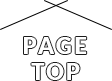 pagetop
