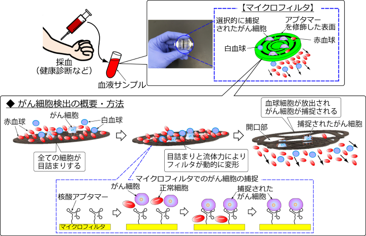 開発したマイクロフィルタデバイスを用いた検査の流れと概要